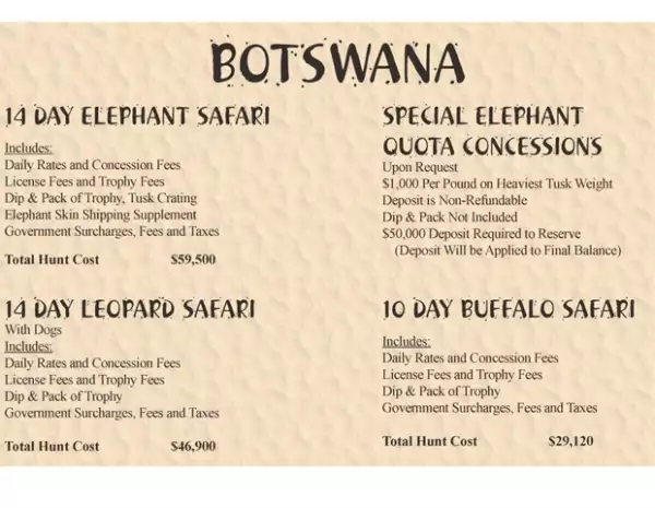 Precios del Safari.