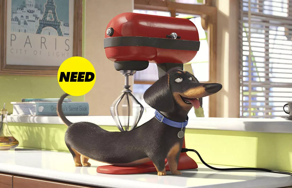 spotify-musica-mascotas