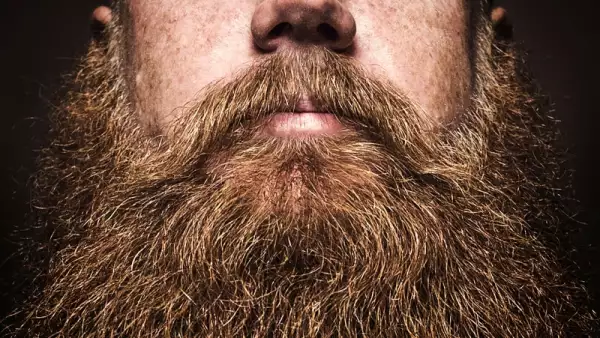 Barba