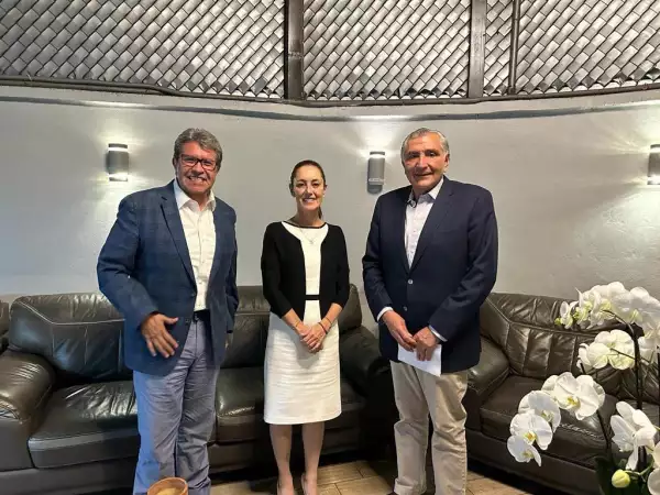 Sheinbaum Coordinadores Territoriales-1