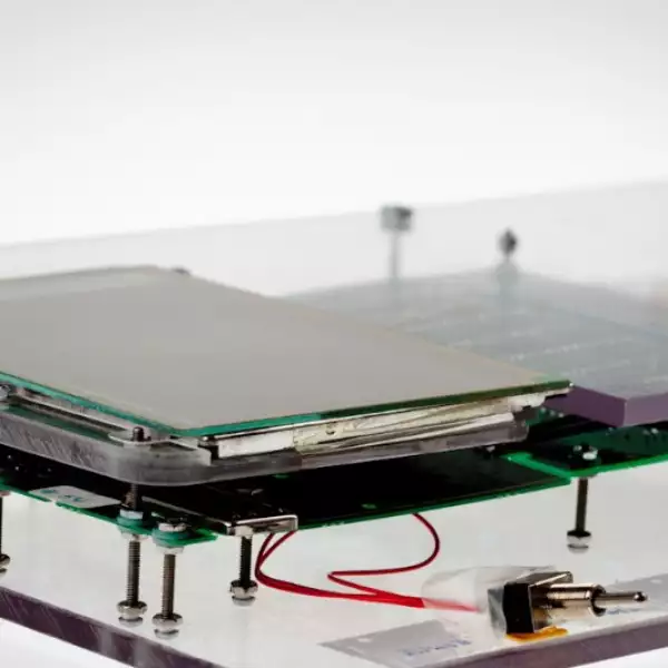 Newton Apple diseño