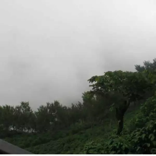 Desde las habitaciones se ubicadas en una colina se observan los cafetales.