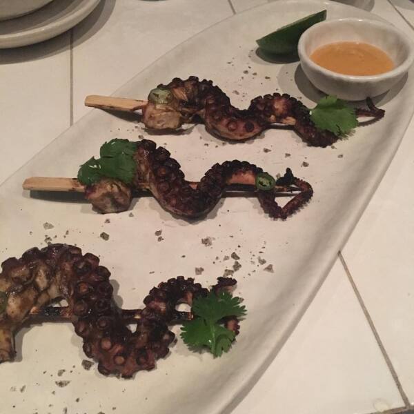 Pulpo