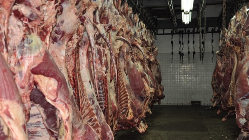 Clembuterol rastro Cuernavaca