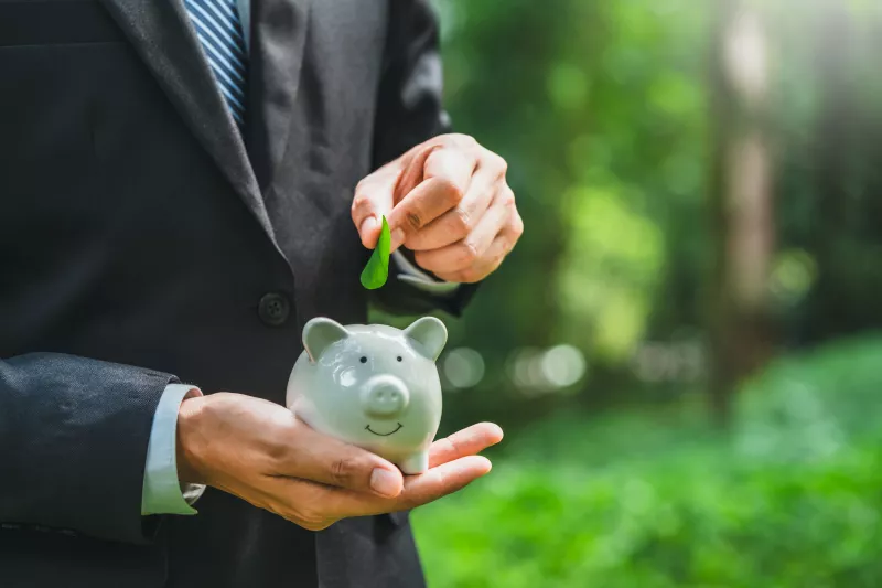 bonos etiquetados y BMV