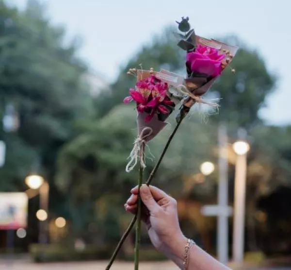 FLORES-VANDALIZAR-CDMX