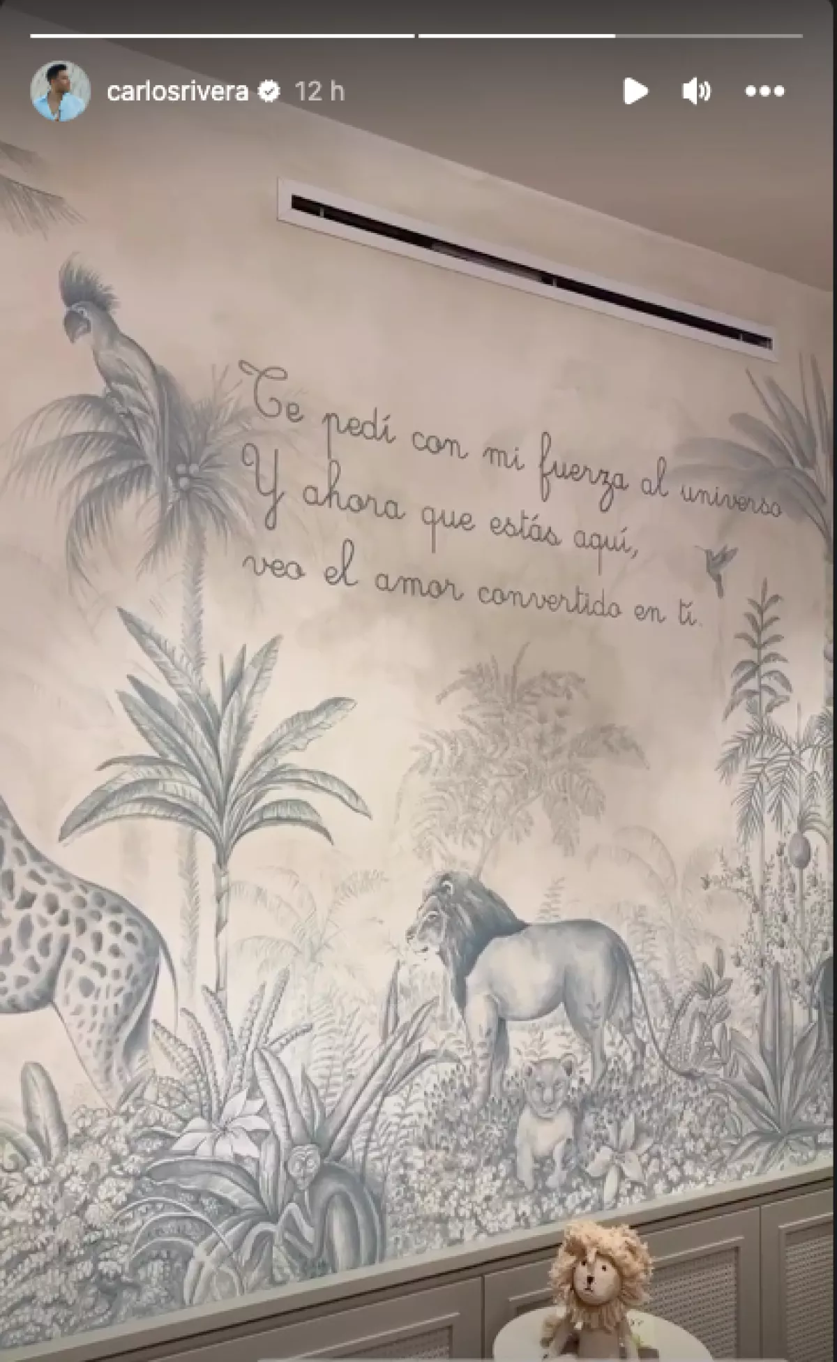 Recámara del hijo de Carlos Rivera 