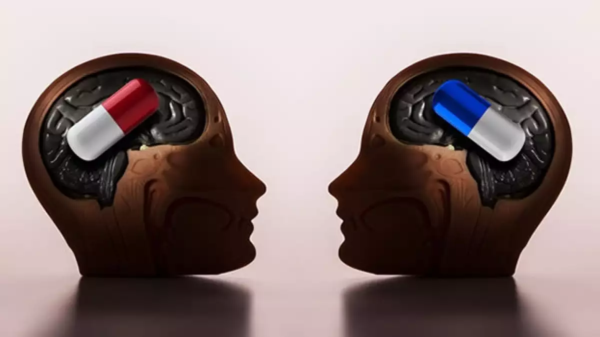 cerebro
