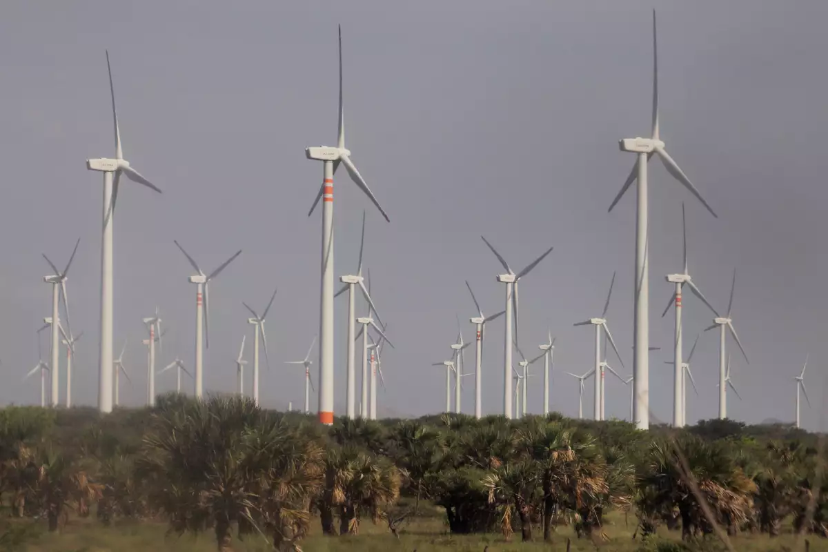 De acuerdo con lo dicho por el embajador, la zona norte de México tiene un potencial importante para desarrollar más energías limpias.