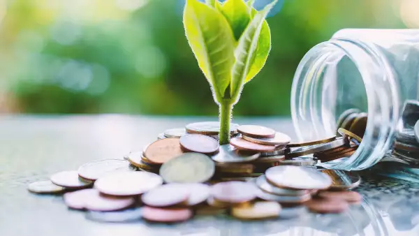 Empresas sustentables