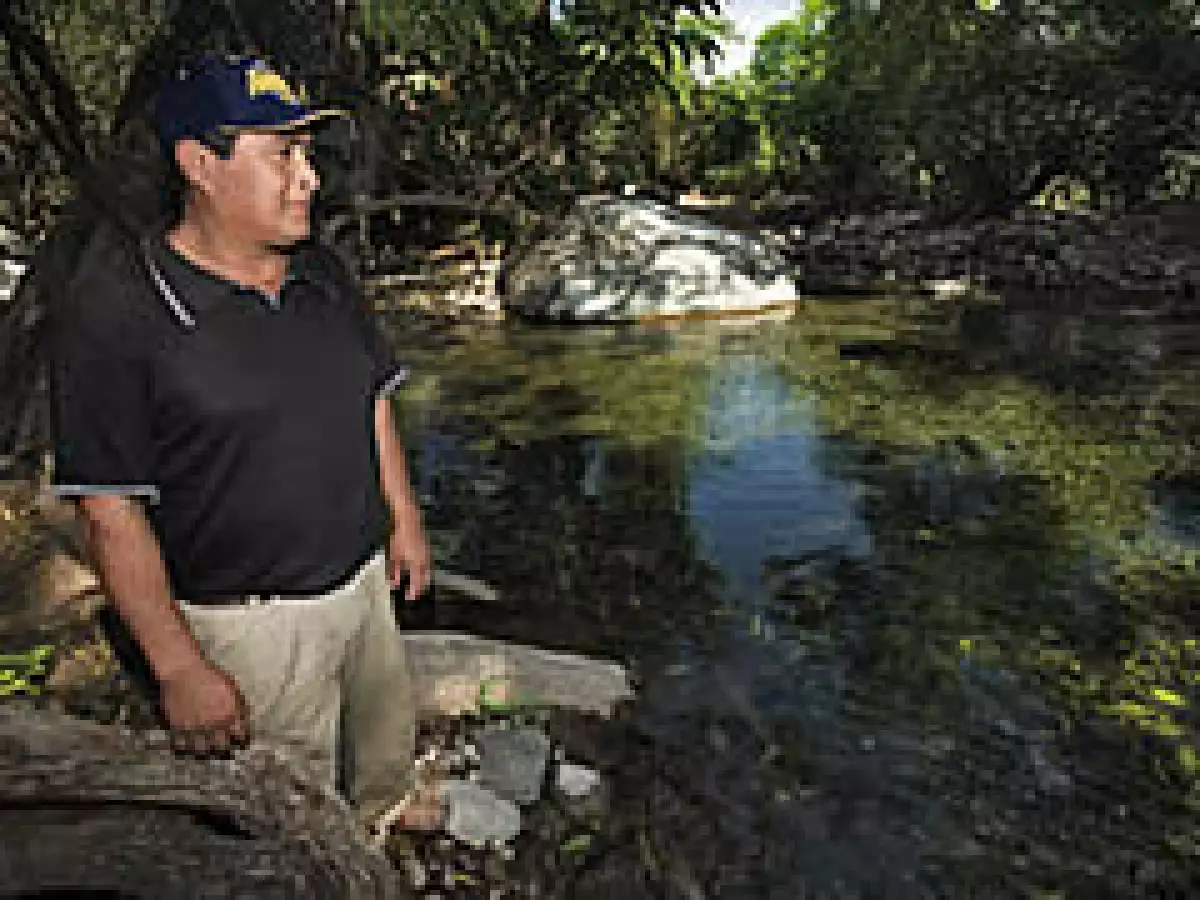 Se invertirán más de 1,010 millones de pesos en la ayuda del medio ambiente. (Foto: Sergio Velasco)