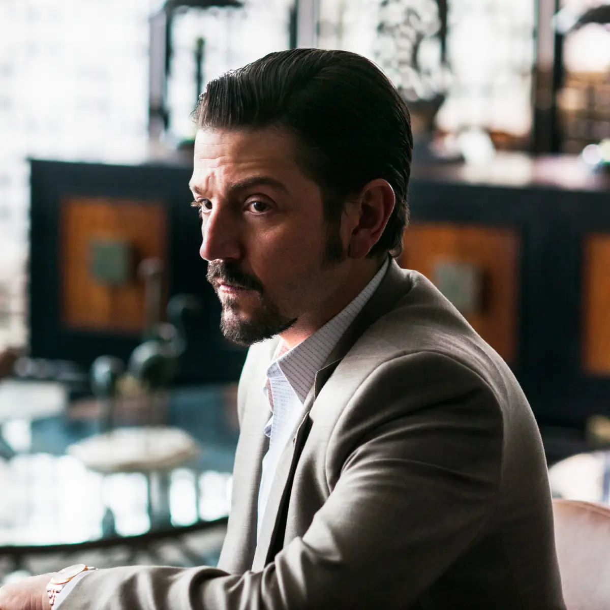 DIEGOluna.jpg