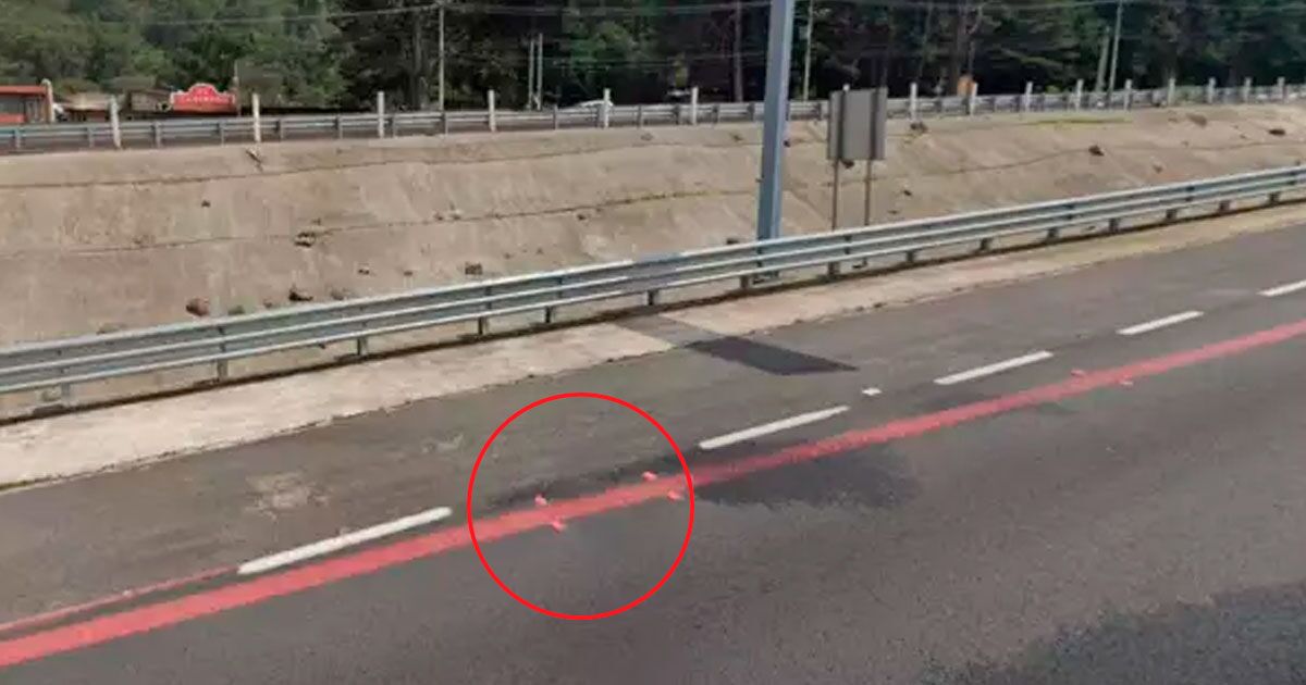 Yollardaki farklı çizgi türleri ne anlama geliyor?