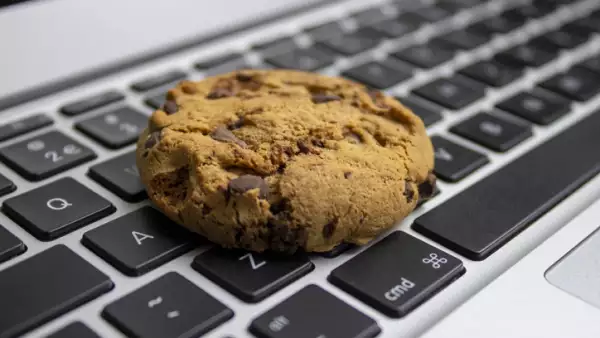 ¿Qué son las cookies y qué información recopilan?