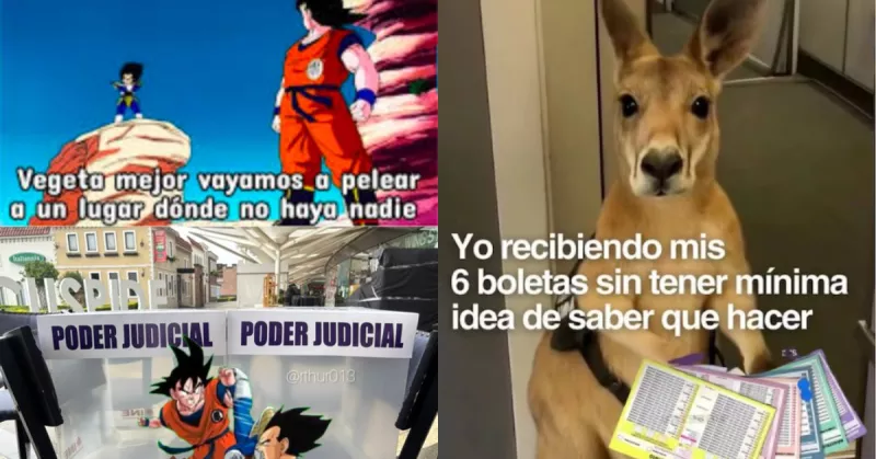 memes-elecciones-judiciales-.jpg