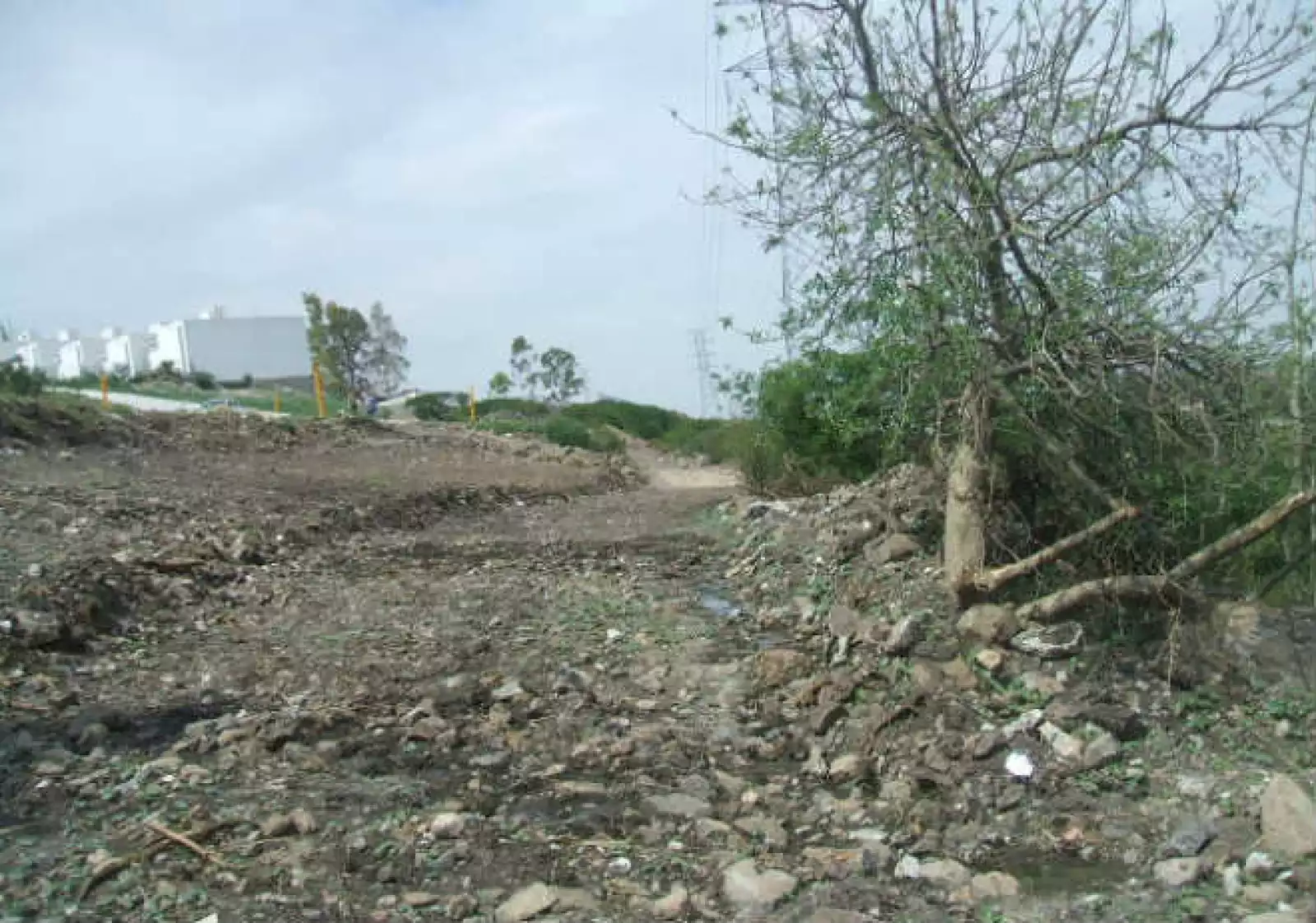 Profepa predio Quer�taro 3