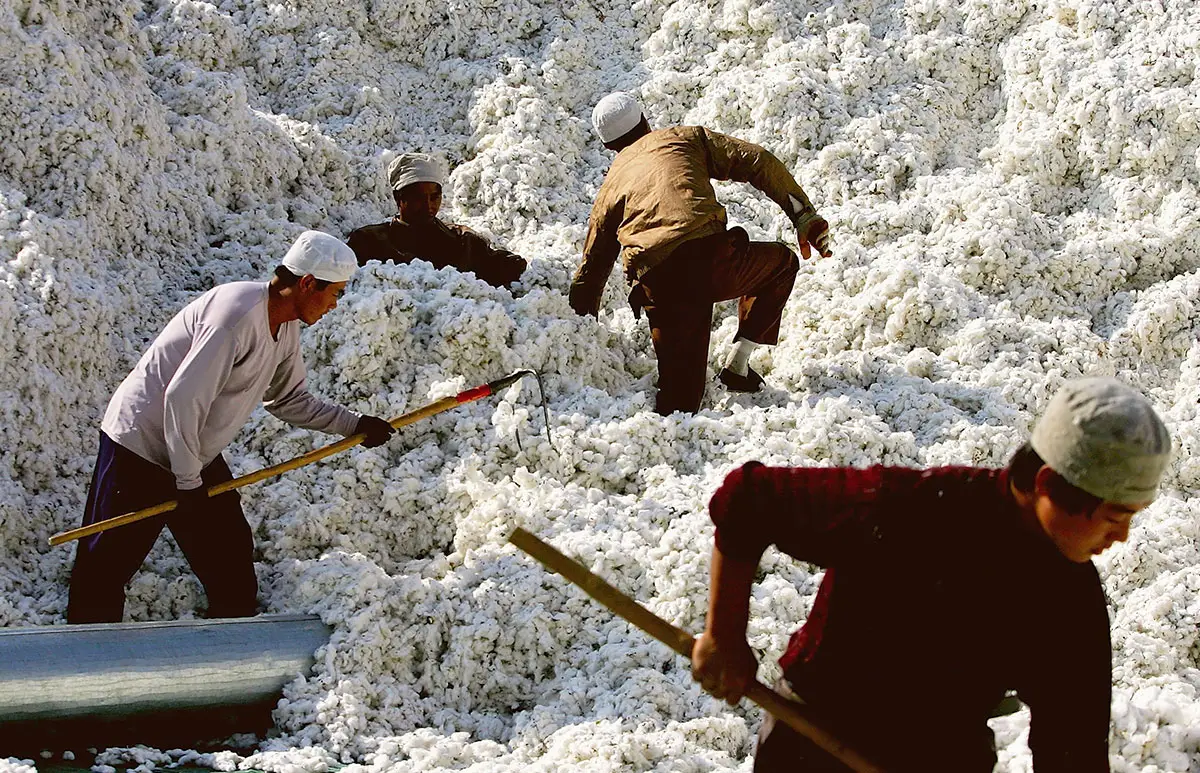 Foto: GettyImages