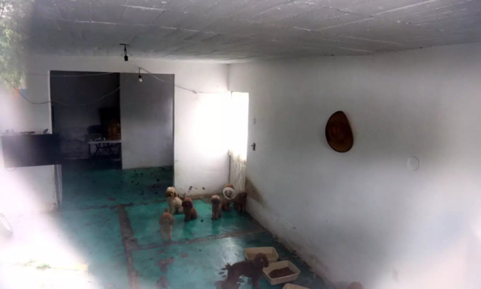 El exalcalde de Iguala José Luis Abarca, y su esposa, vinculados a la desaparición de 43 estudiantes, fueron detenidos este lunes en la delegación Iztapalapa, al oriente del Distrito Federal.