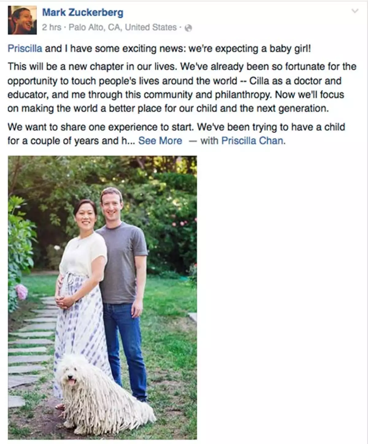 El creador de Facebook anunció hoy que él y su esposa Priscilla Chan se convertirán en padres de una niña.