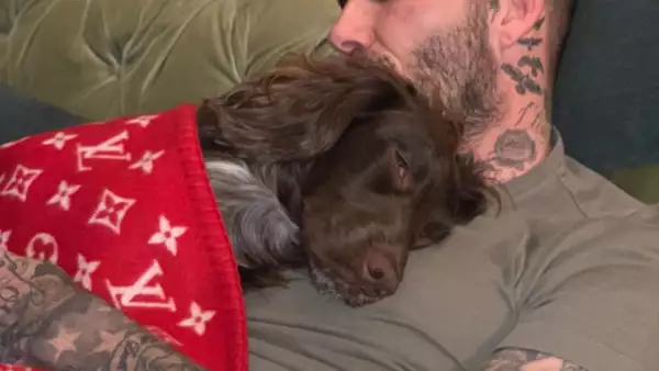David Beckham y su mascota Olive