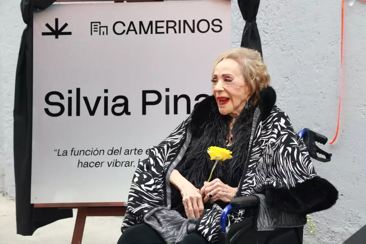  Silvia Pinal