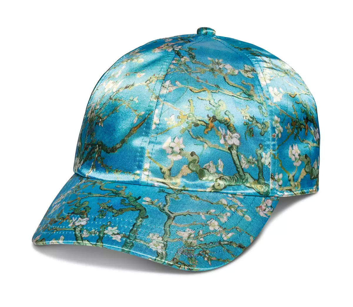 Colección Vans / Van Gogh