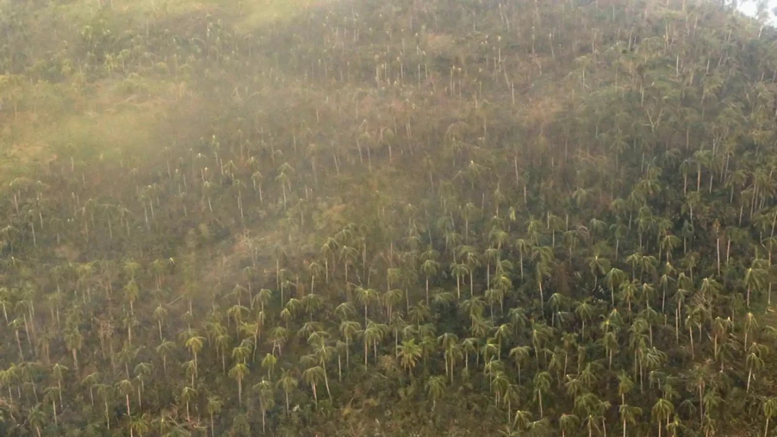 tifon_haiyan_vistas_aereas