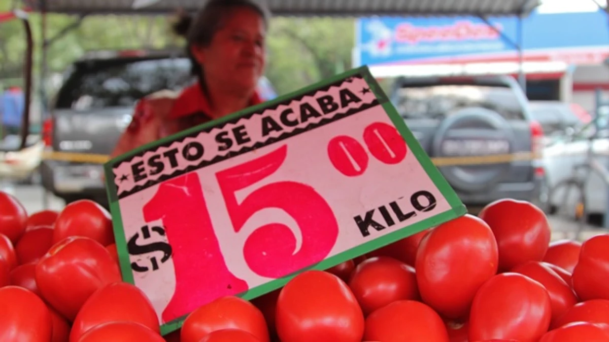 venta de jitomate