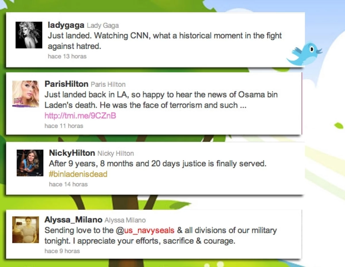Celebridades como Lady Gaga, Lindsay Lohan, Katy Perry, Paris Hilton, entre otros, utilizaron sus cuentas de Twitter para pronunciarse con respecto del líder de Al Qaeda.