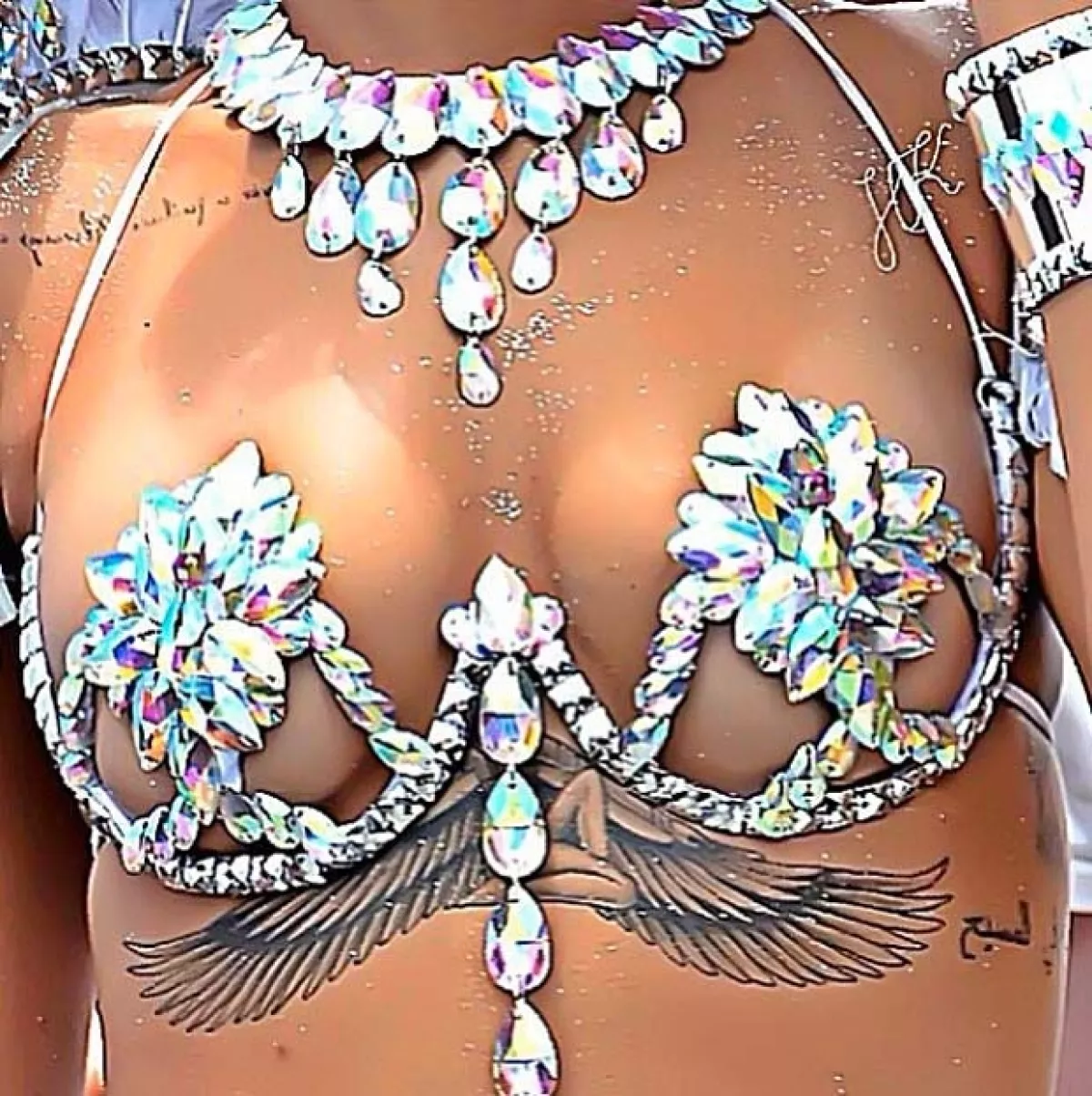 Aspectos de su bikini.