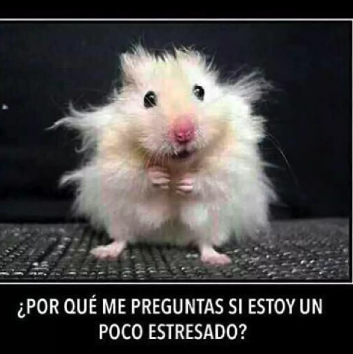 La actriz toma con humor su situación.