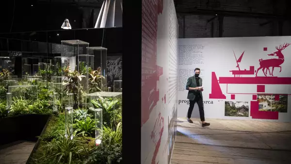 Mexicanos participan en la Bienal de Venecia