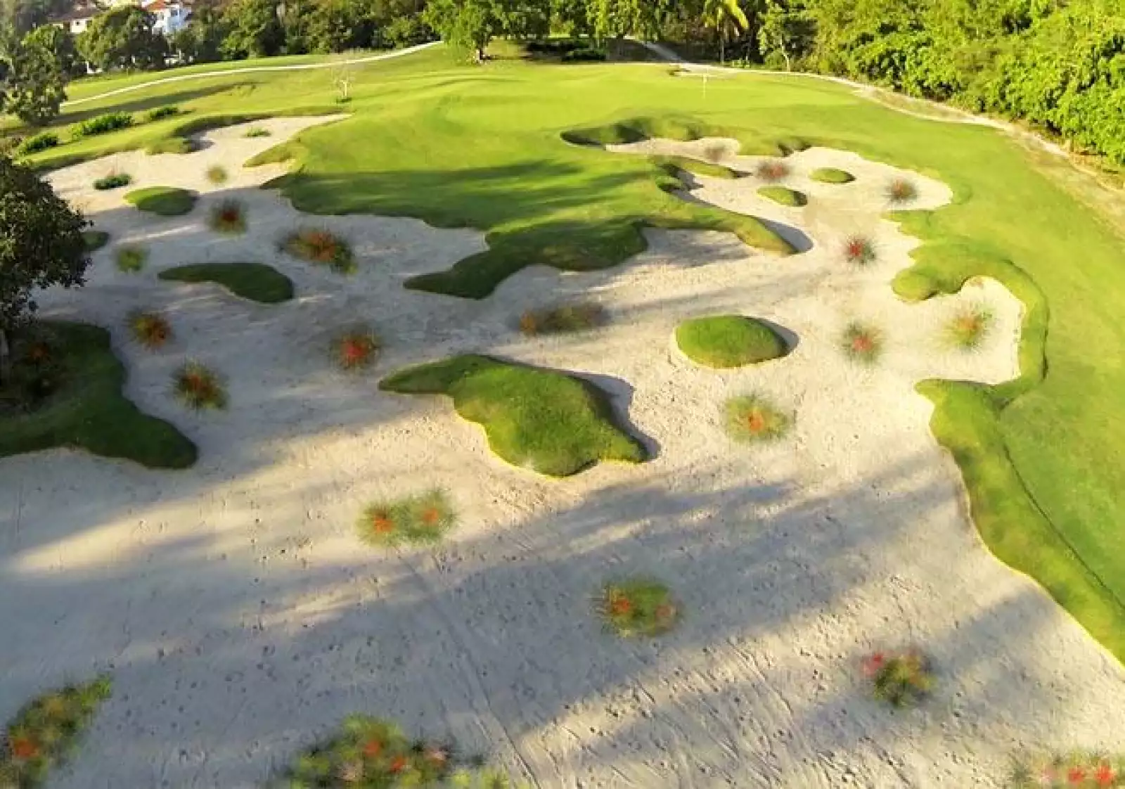 Las Parotas Club de Golf  13