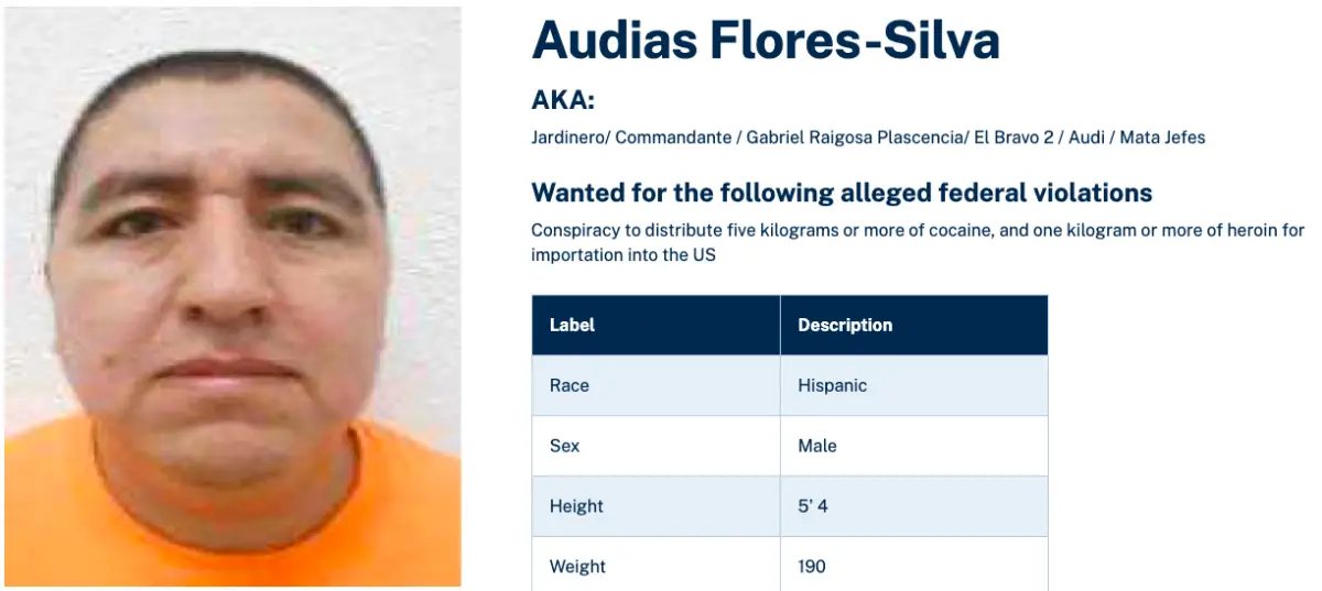 el jerdinero cjng.png