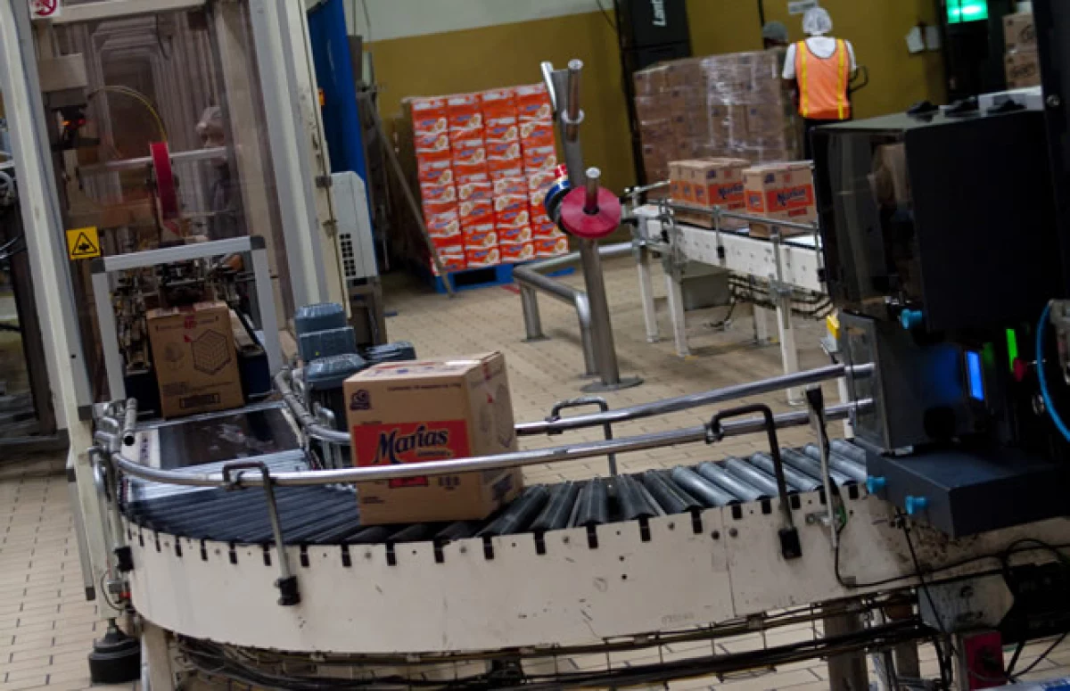 Un robot italiano llena las cajas con galletas empaquetadas. Acomoda 121 paquetes por minuto.