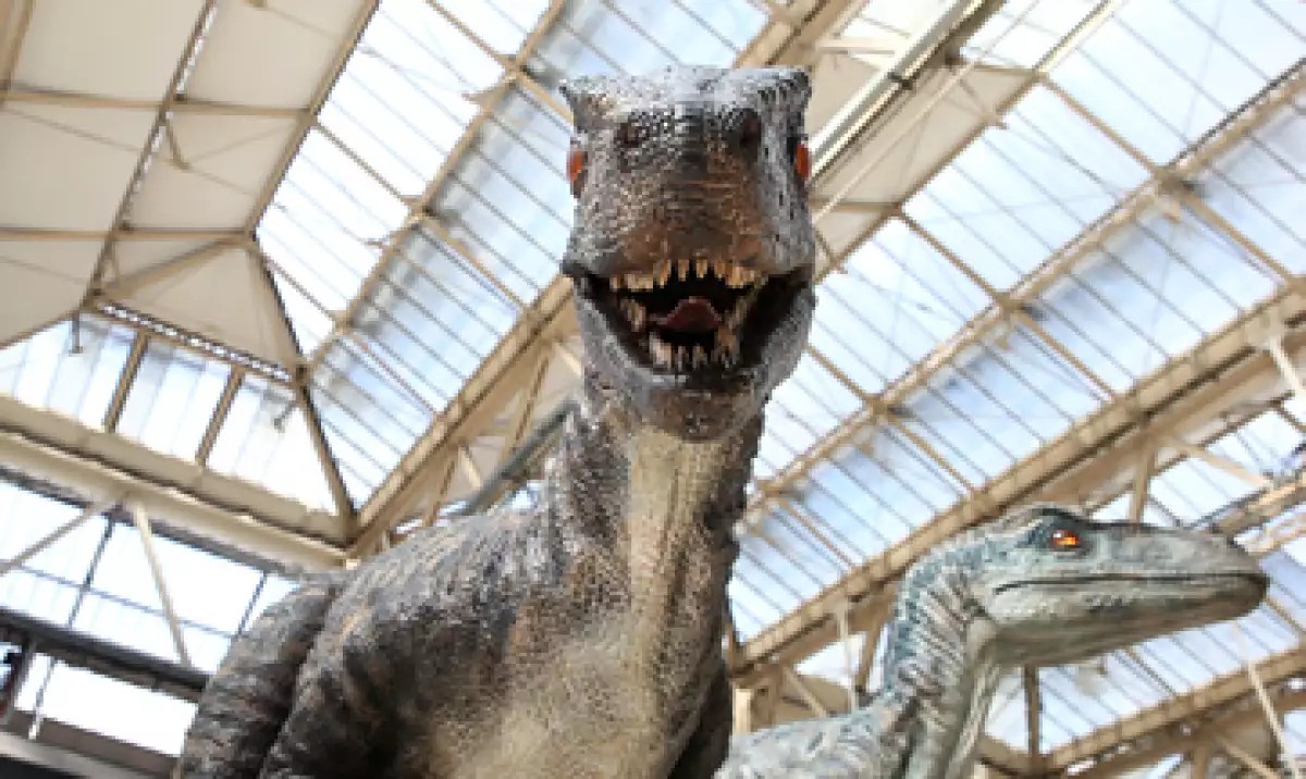 Pese a descubrimientos recientes, todavía no se pueden clonar dinosaurios. (Foto: Getty Images)