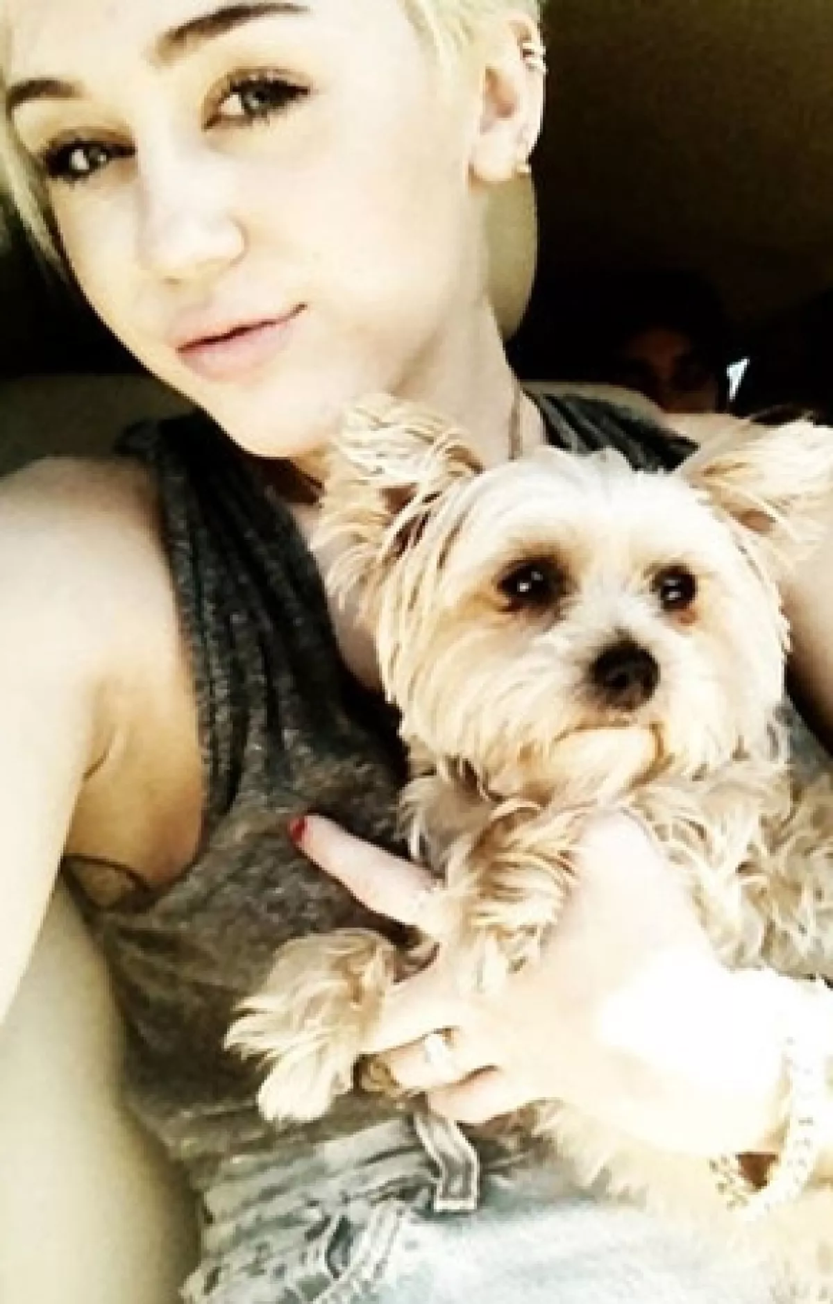 Miley con uno de sus perros.