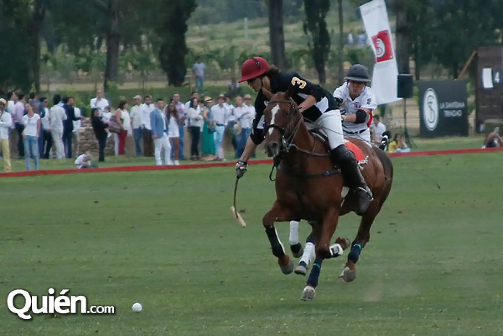 Partido de Polo