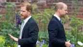 hary-william-relacion-irreparable.jpg