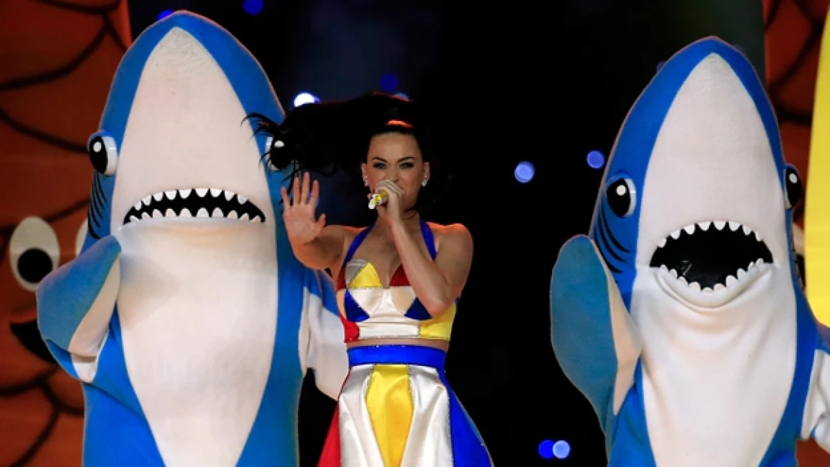 katy perry tiburon