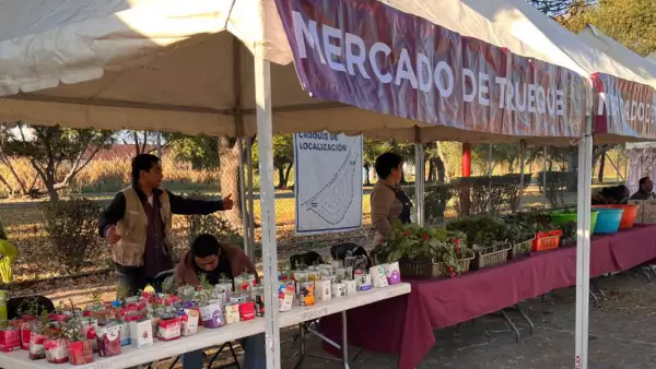 mercado-trueque-cdmx-2025.jpeg