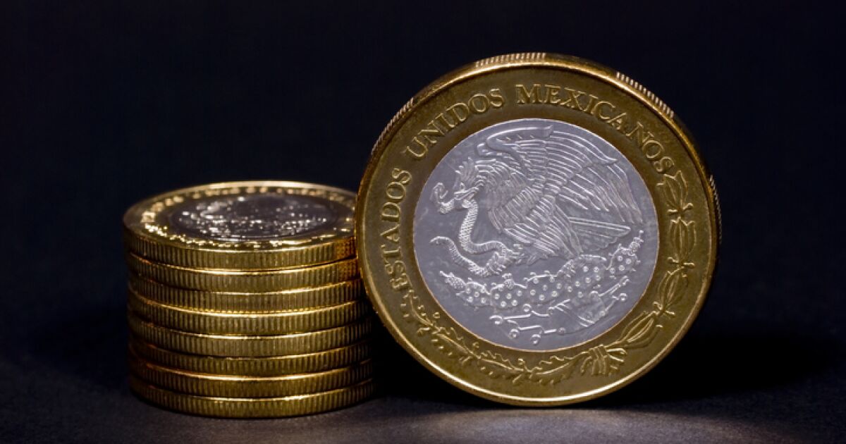 Sheinbaum, yeni 20 peso parayı DOF'ta resmileştirdi; bunlar onun özellikleri