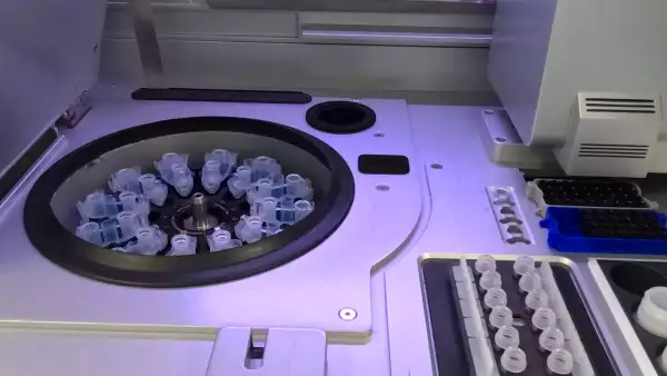 Análisis de ADN para el Proyecto OriGen