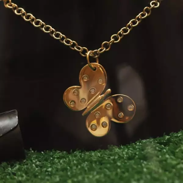 Tous Nueva Temporada