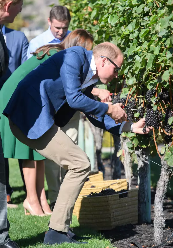 William y Kate en la zona vinícola