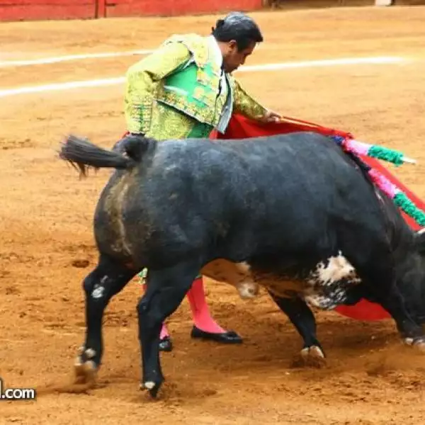 2da fecha toros