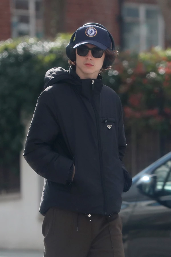Foto: Getty Images, Timothée Chalamet