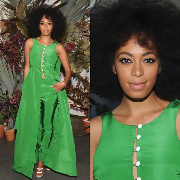 Pioneer Works Village Fete, 2015: En Brooklyn, Nueva York, la cantante llevó un two piece de pantalón y vestido tipo capa verde de Rosie Assoulin otoño 2015, con su clásico afro y un delineado tipo cat eye.