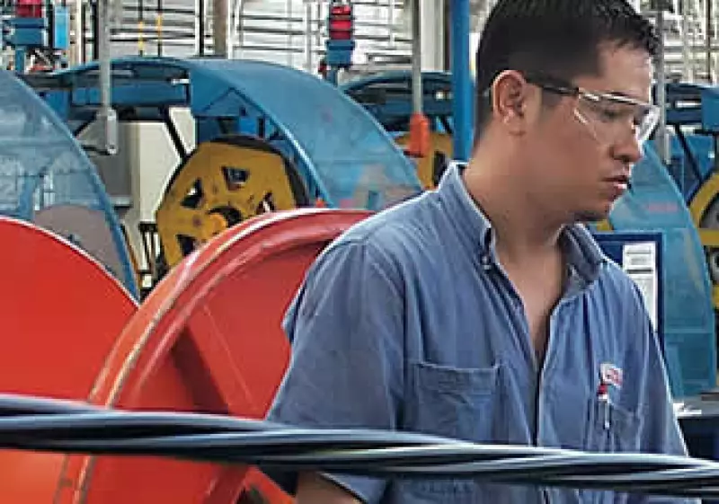 Los productos de Xignux van desde botanas, carnes frías y quesos, hasta cabres de cobre, aluminio y transformadores. (Foto: Cortesía Xignux)