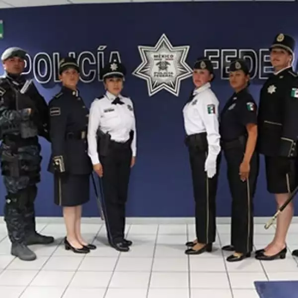 gendarmeria nacional, agrupamientos